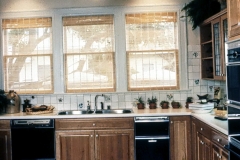 Kitchen Sink & Window