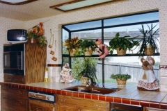 Sink, Garden Window, and Microwave